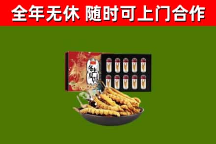 坊子区回收冬虫夏草价格